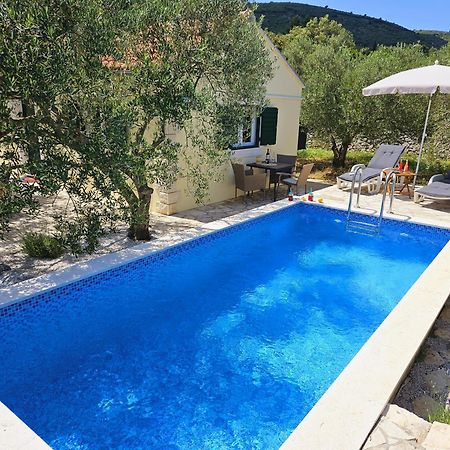 Vineyard House & Olive Grove House Βίλα Račišće Εξωτερικό φωτογραφία