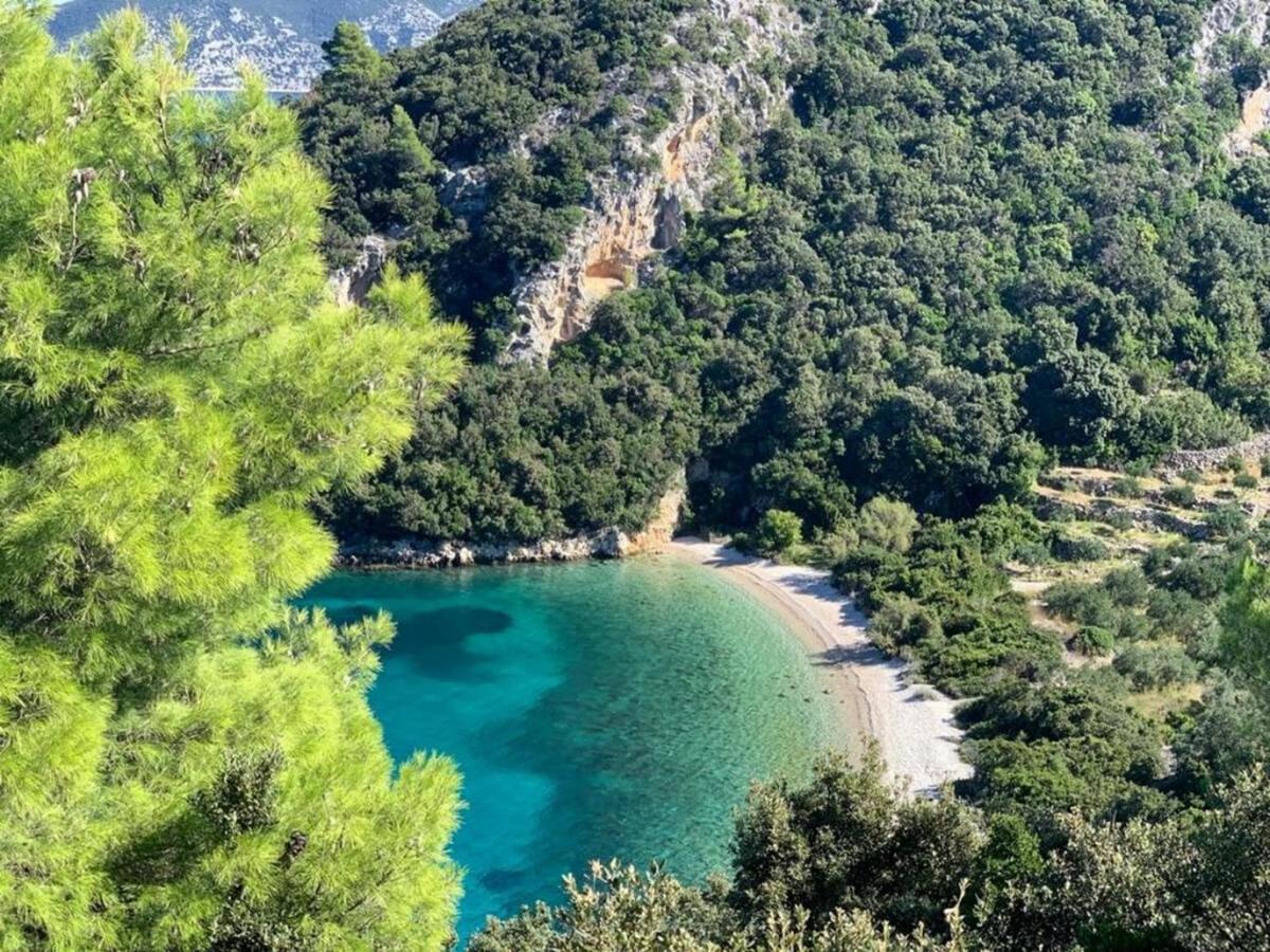 Vineyard House & Olive Grove House Βίλα Račišće Εξωτερικό φωτογραφία