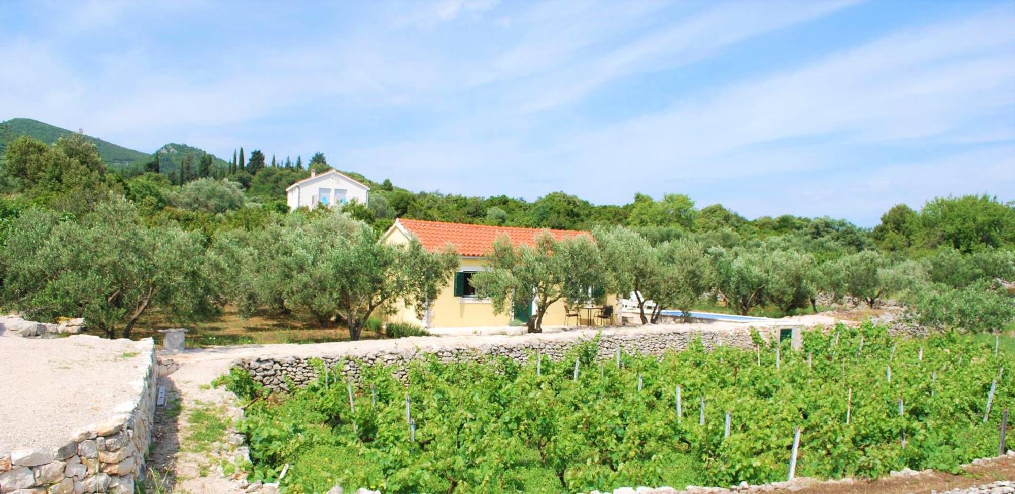 Vineyard House & Olive Grove House Βίλα Račišće Εξωτερικό φωτογραφία