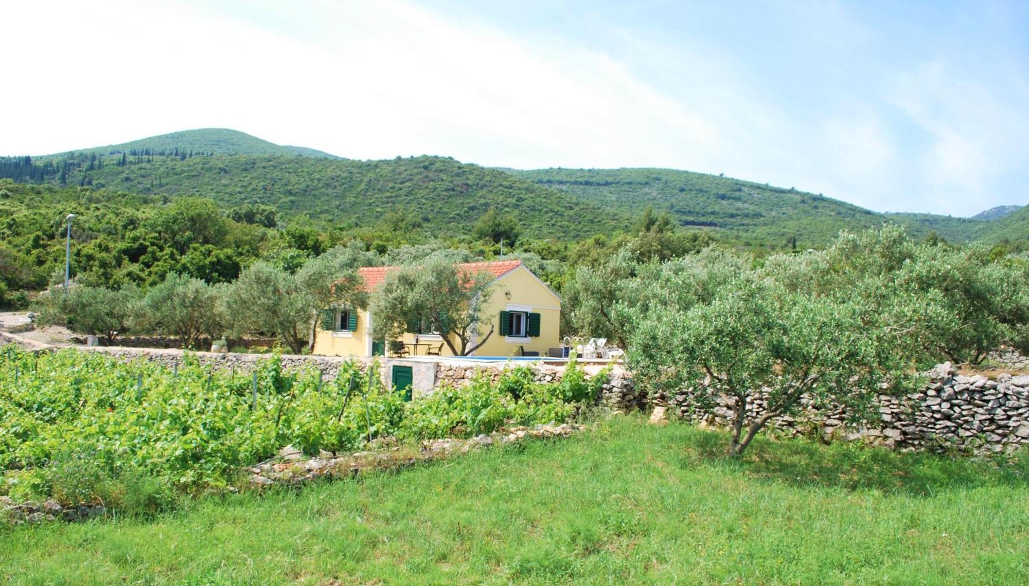 Vineyard House & Olive Grove House Βίλα Račišće Εξωτερικό φωτογραφία