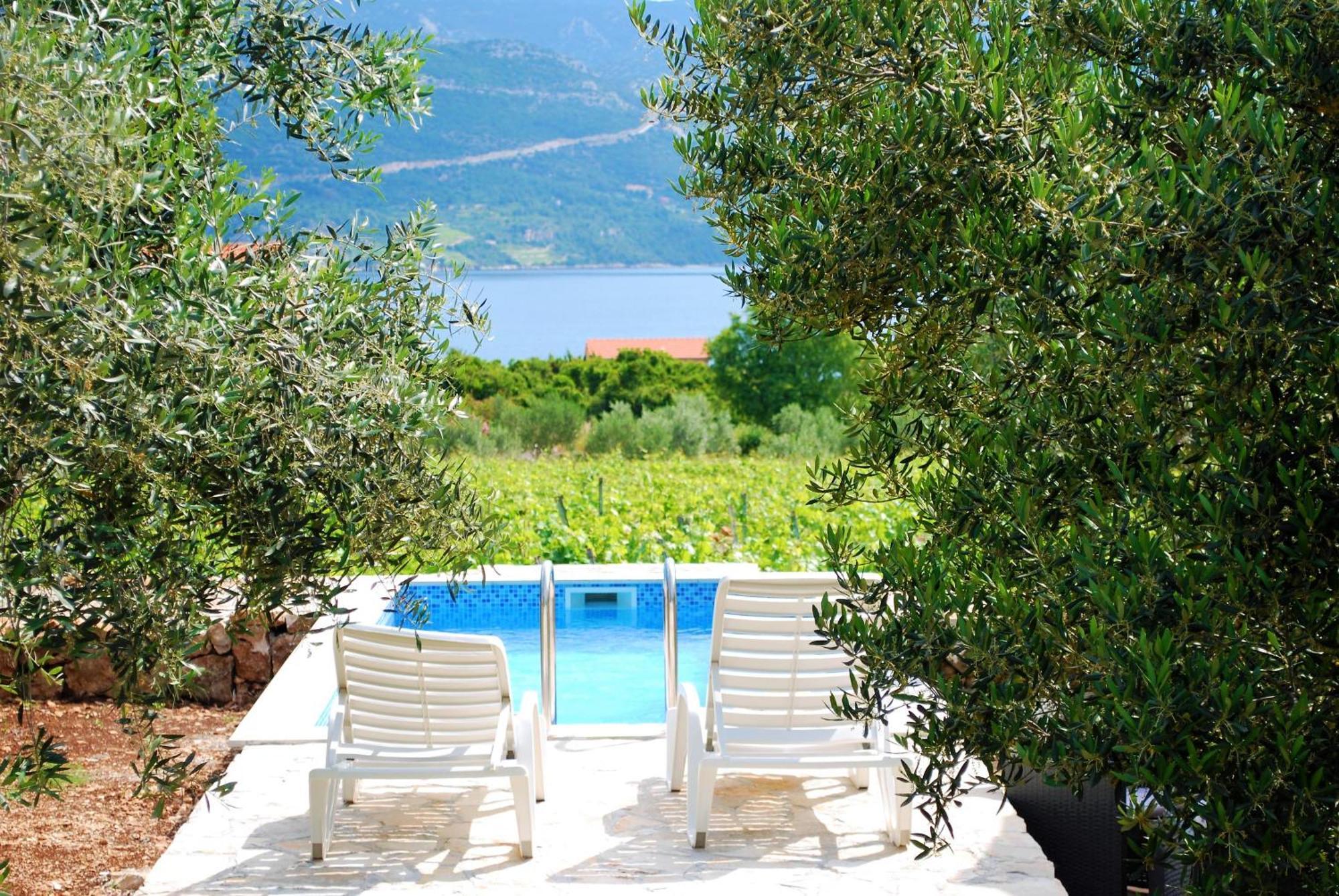 Vineyard House & Olive Grove House Βίλα Račišće Εξωτερικό φωτογραφία