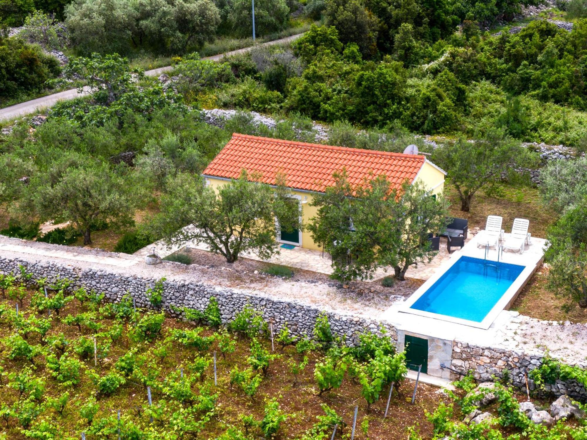 Vineyard House & Olive Grove House Βίλα Račišće Εξωτερικό φωτογραφία