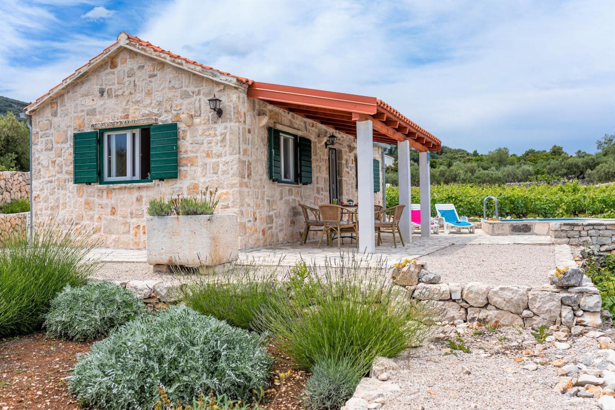 Vineyard House & Olive Grove House Βίλα Račišće Εξωτερικό φωτογραφία