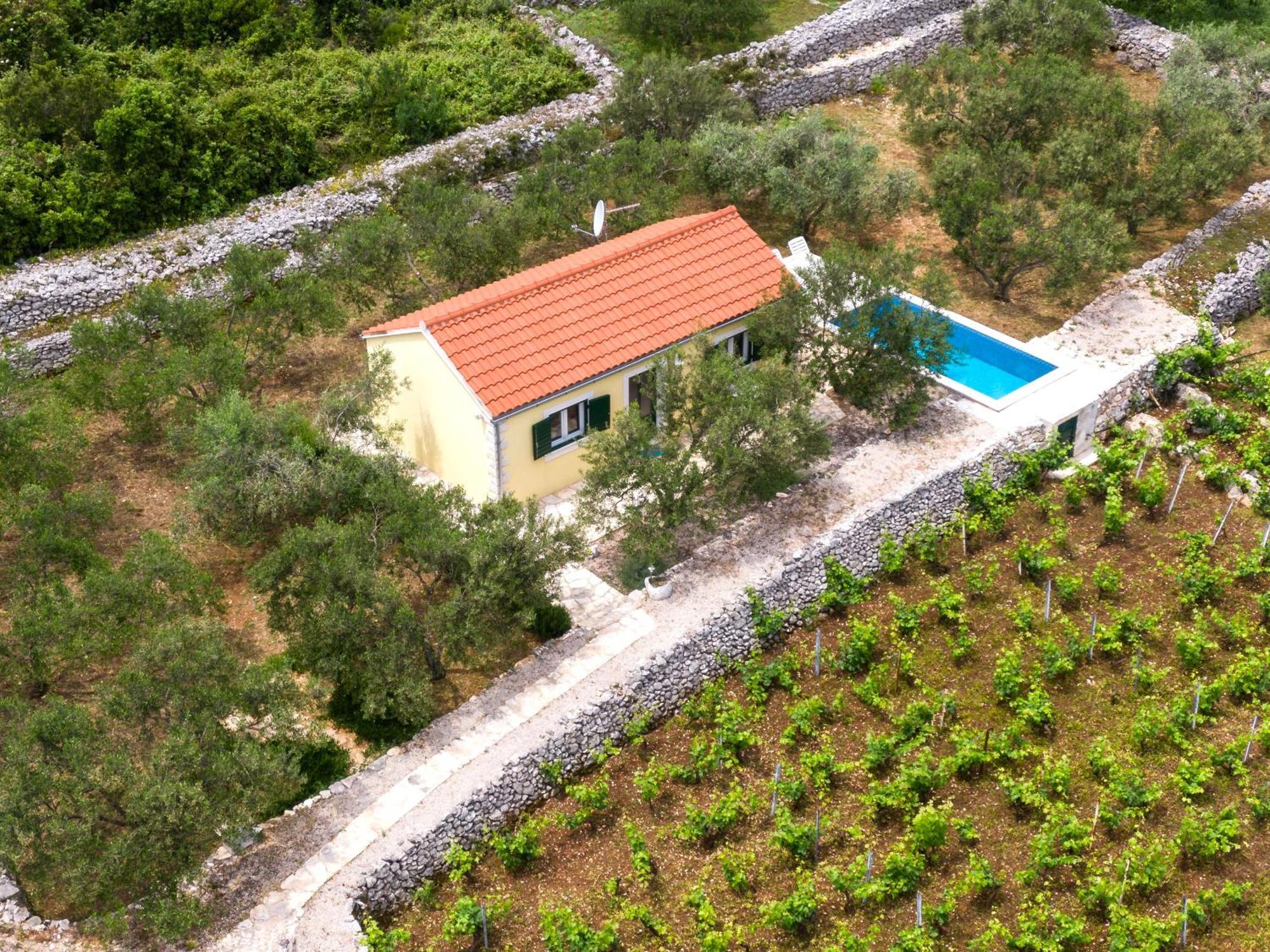 Vineyard House & Olive Grove House Βίλα Račišće Εξωτερικό φωτογραφία