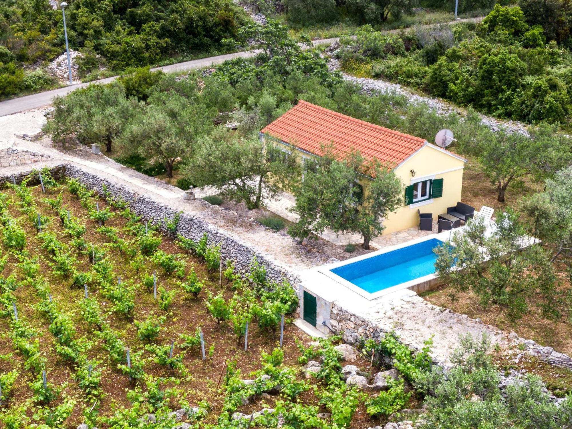 Vineyard House & Olive Grove House Βίλα Račišće Εξωτερικό φωτογραφία