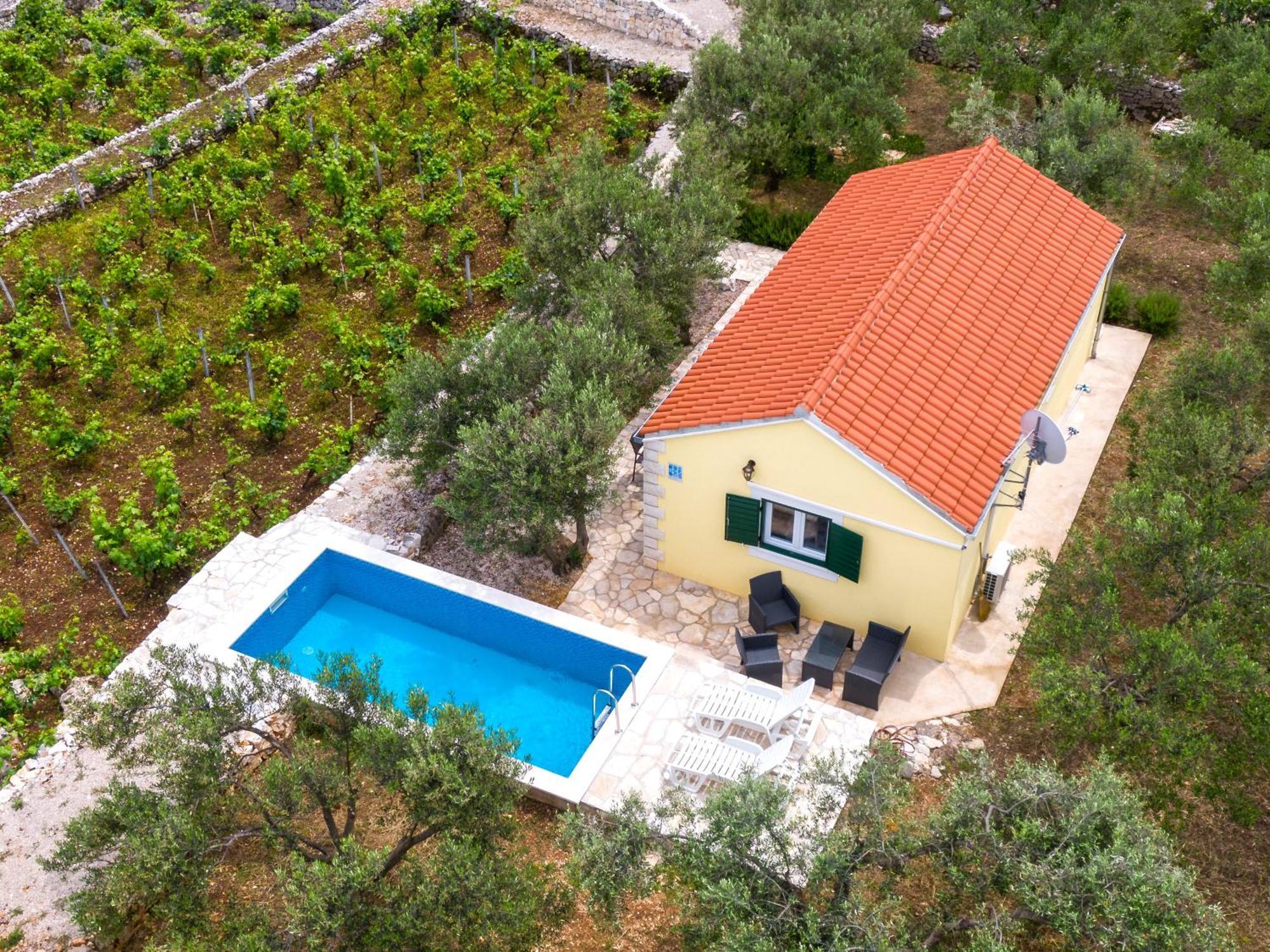 Vineyard House & Olive Grove House Βίλα Račišće Εξωτερικό φωτογραφία