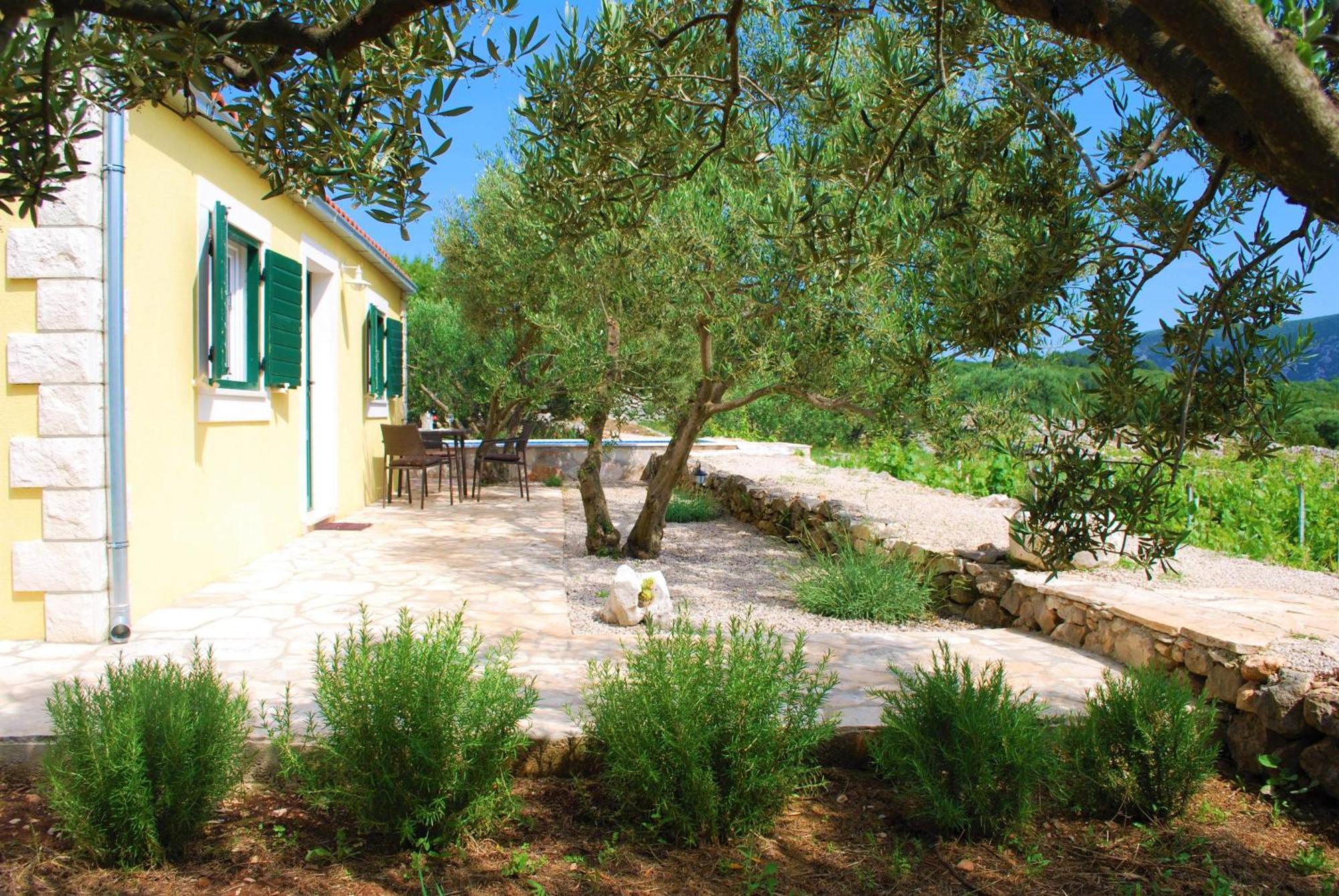 Vineyard House & Olive Grove House Βίλα Račišće Εξωτερικό φωτογραφία