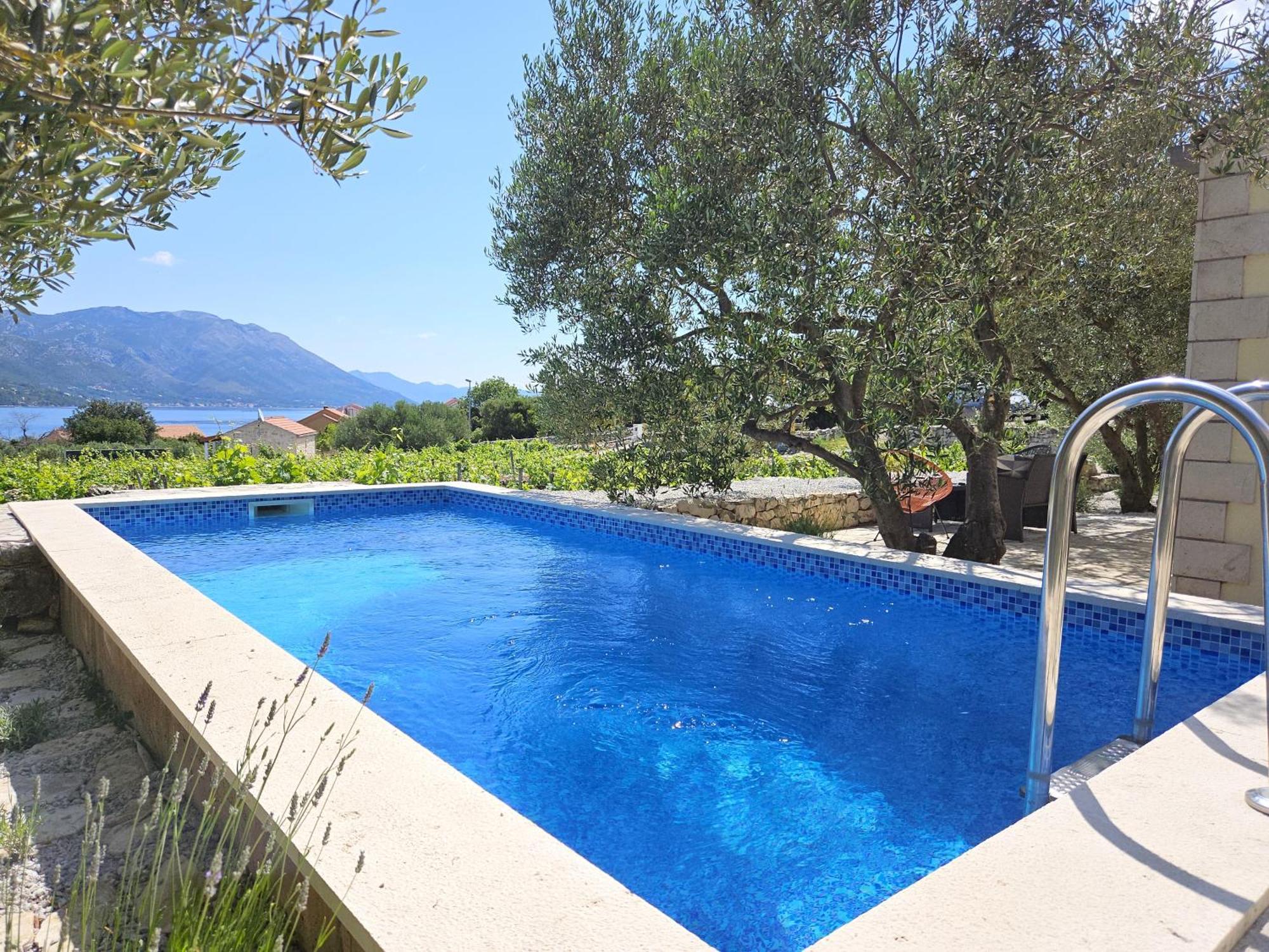 Vineyard House & Olive Grove House Βίλα Račišće Εξωτερικό φωτογραφία
