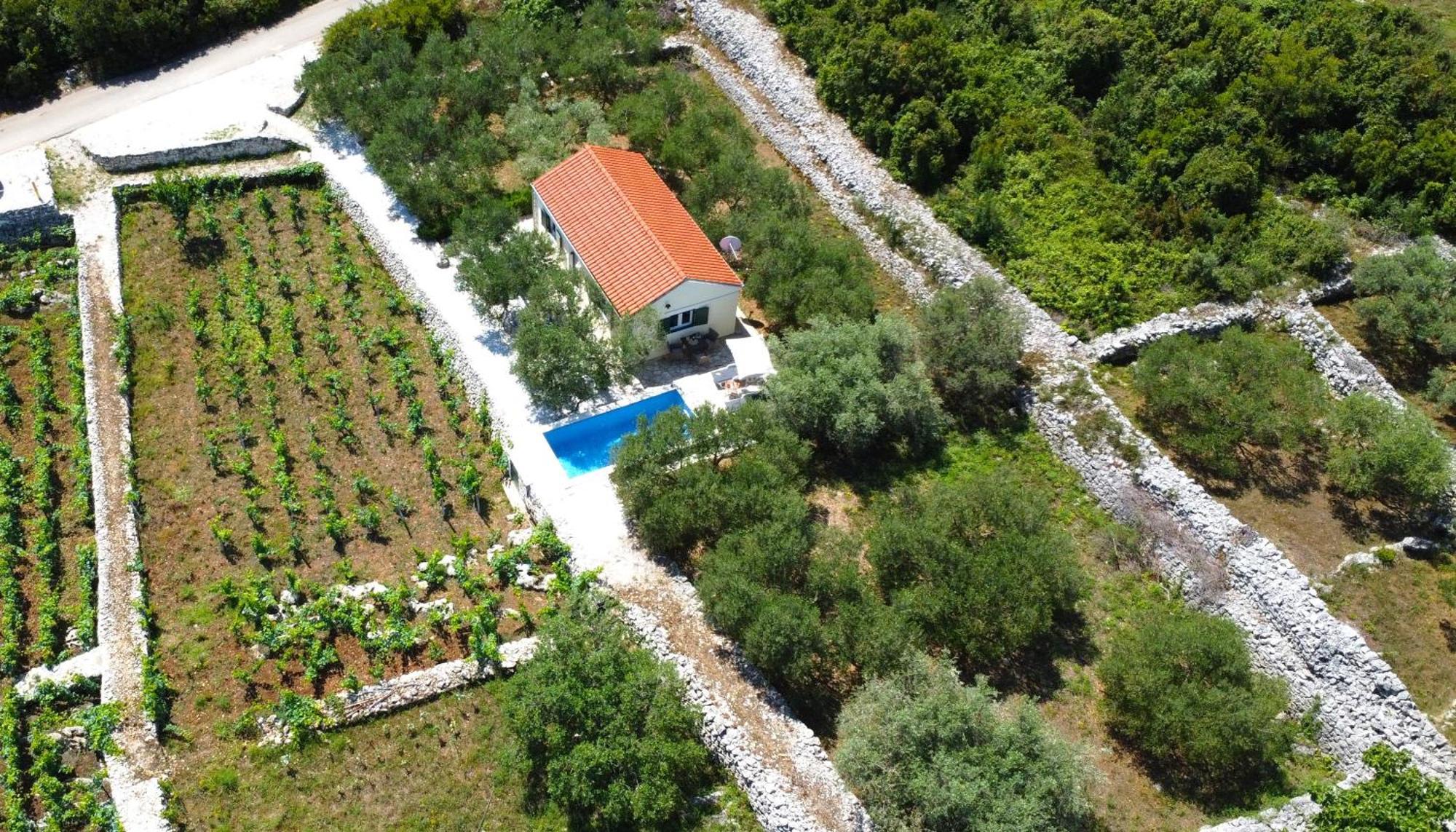 Vineyard House & Olive Grove House Βίλα Račišće Εξωτερικό φωτογραφία