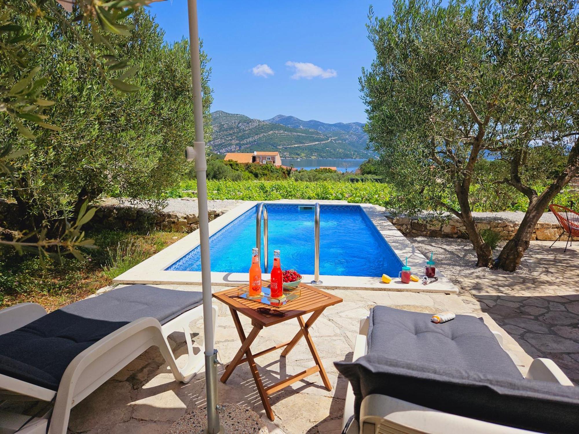 Vineyard House & Olive Grove House Βίλα Račišće Εξωτερικό φωτογραφία