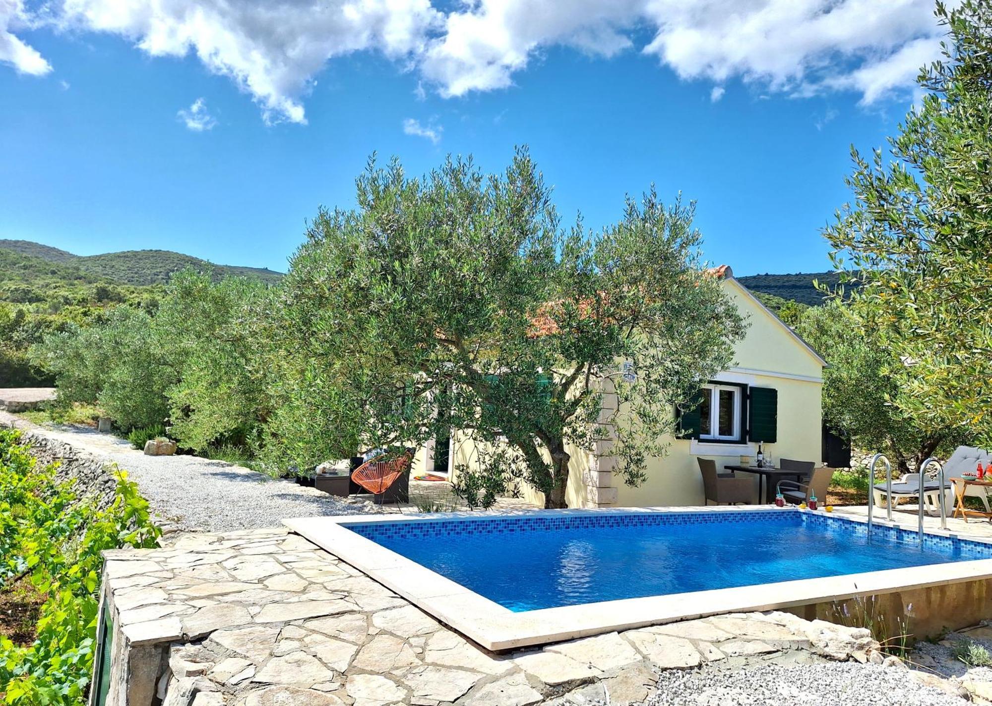 Vineyard House & Olive Grove House Βίλα Račišće Εξωτερικό φωτογραφία