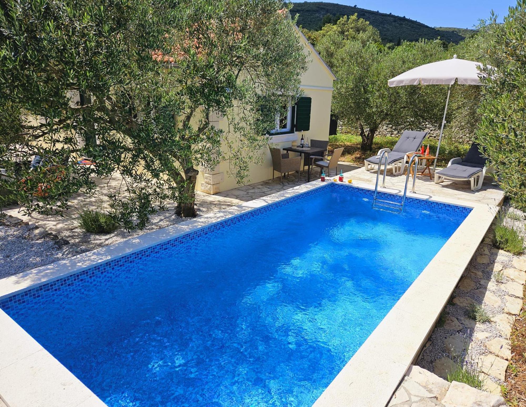 Vineyard House & Olive Grove House Βίλα Račišće Εξωτερικό φωτογραφία