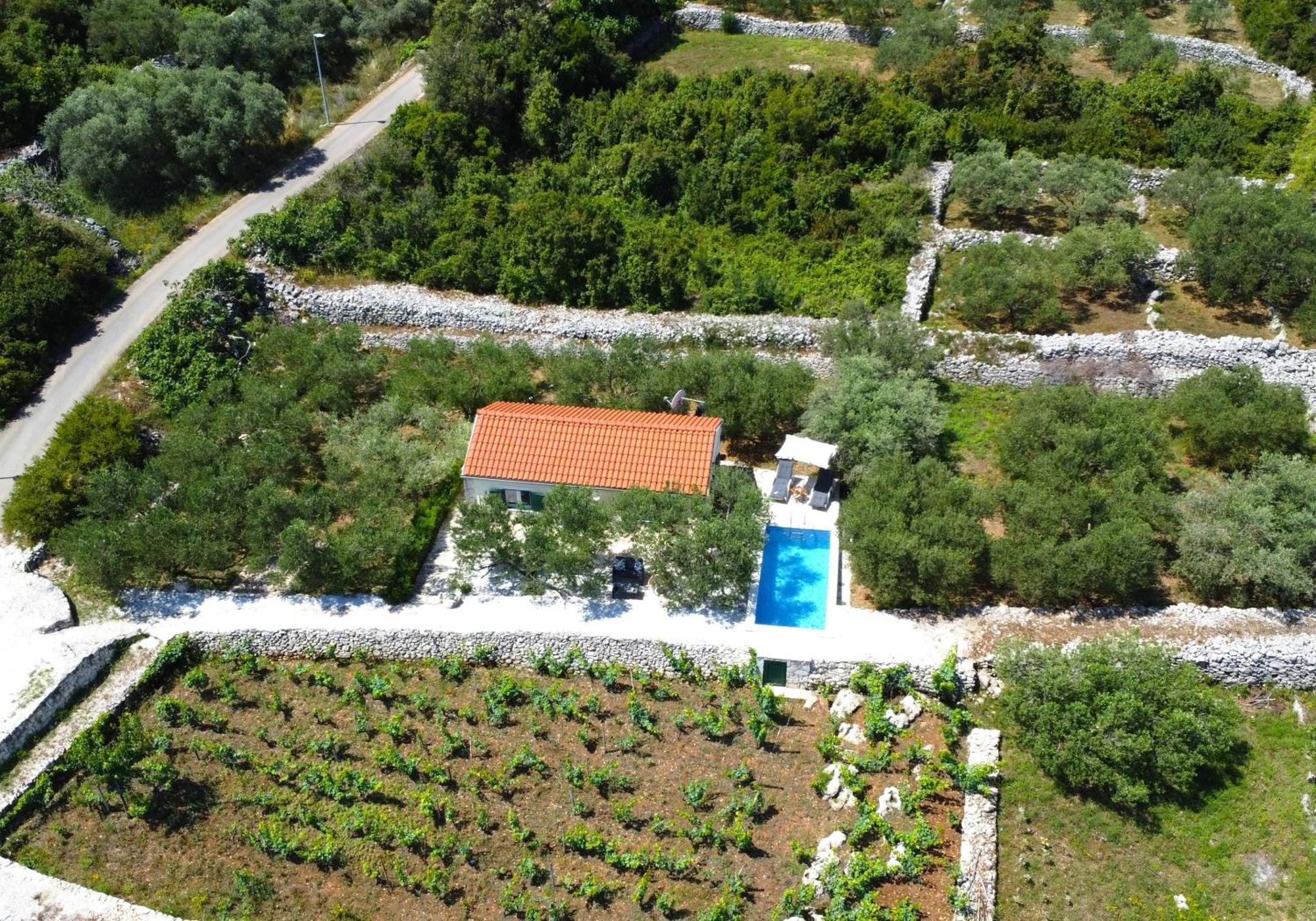 Vineyard House & Olive Grove House Βίλα Račišće Εξωτερικό φωτογραφία