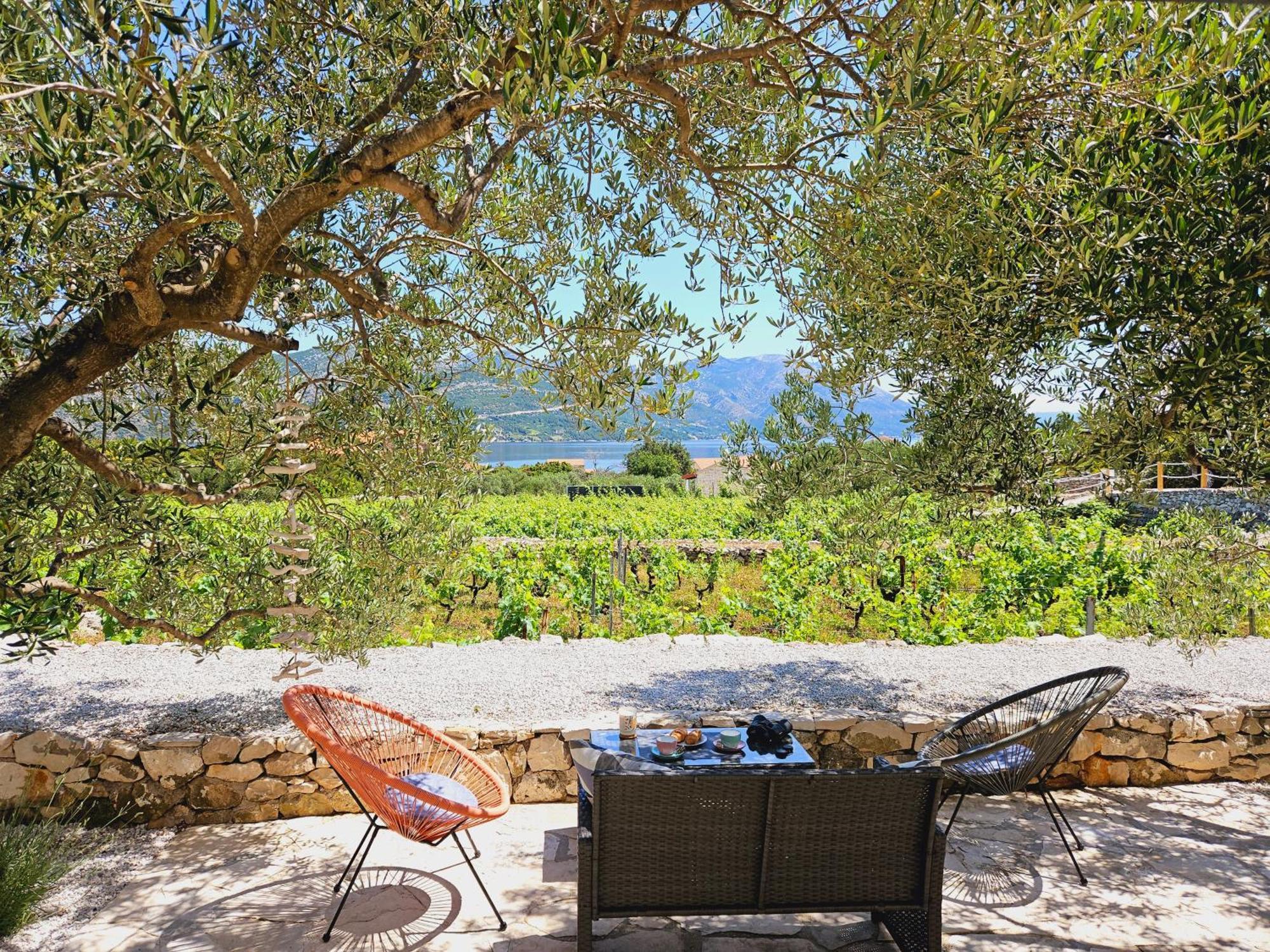 Vineyard House & Olive Grove House Βίλα Račišće Εξωτερικό φωτογραφία