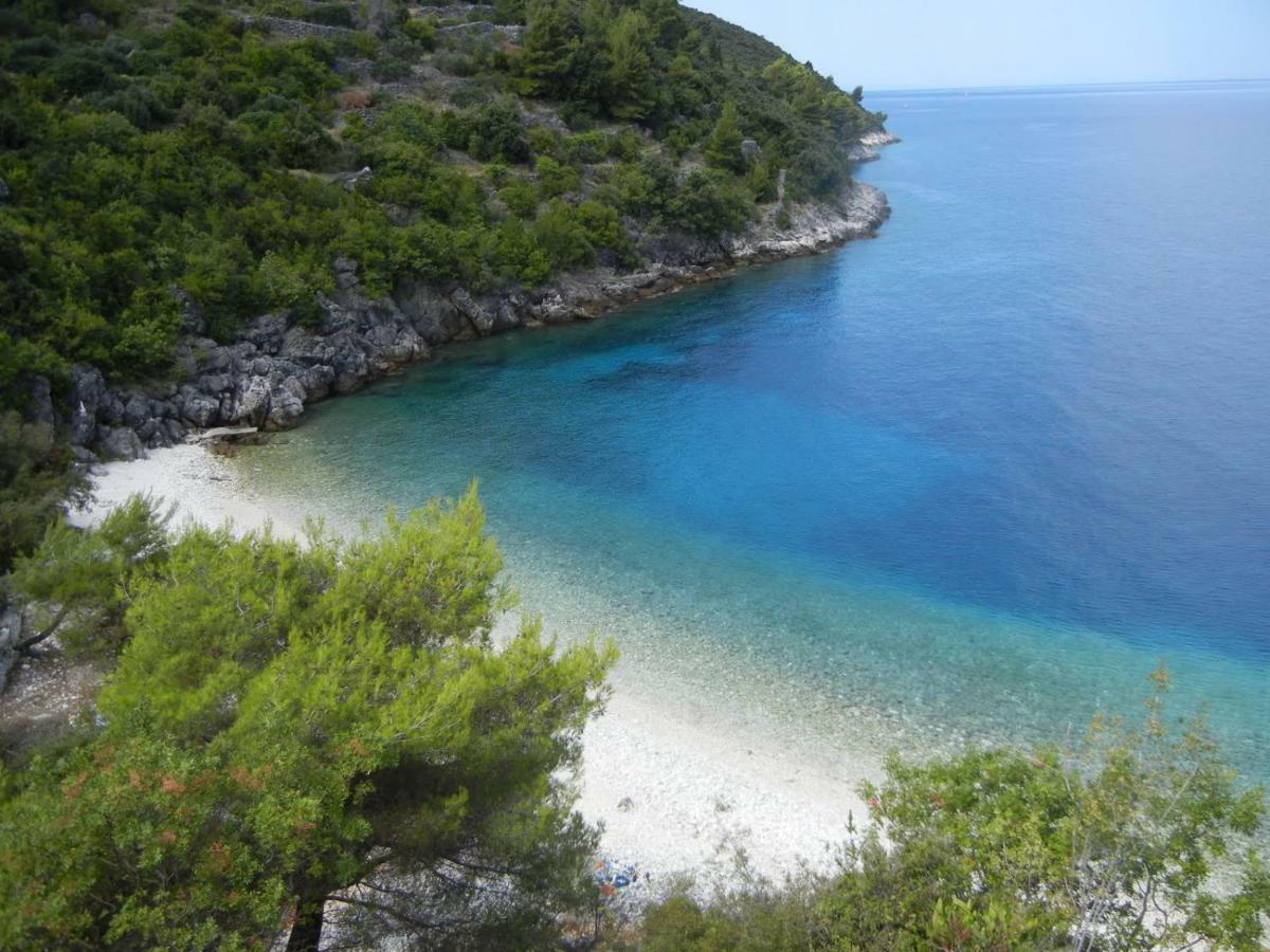 Vineyard House & Olive Grove House Βίλα Račišće Εξωτερικό φωτογραφία