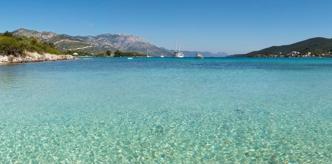 Vineyard House & Olive Grove House Βίλα Račišće Εξωτερικό φωτογραφία