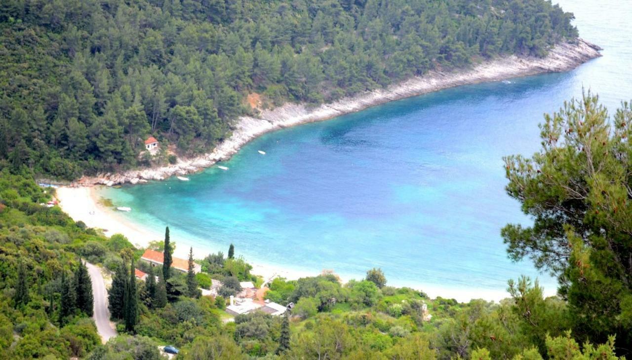 Vineyard House & Olive Grove House Βίλα Račišće Εξωτερικό φωτογραφία