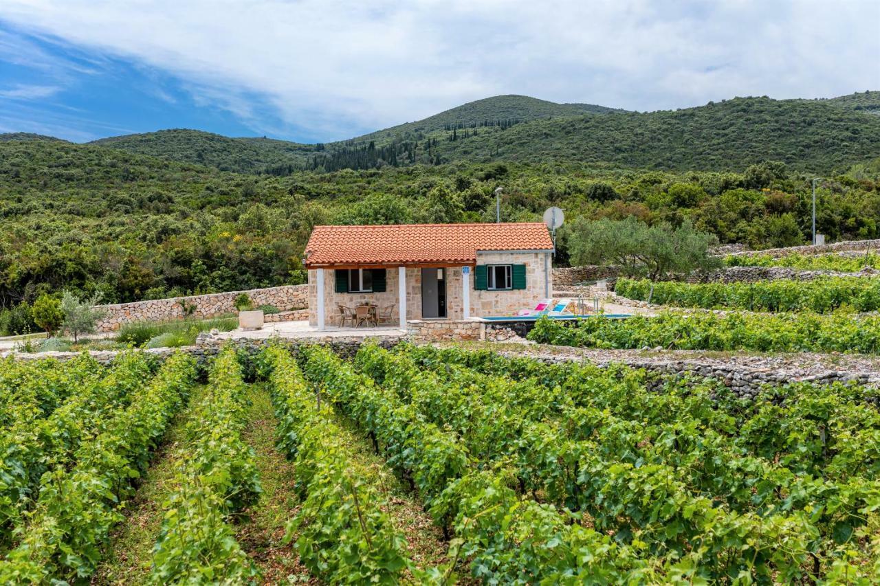 Vineyard House & Olive Grove House Βίλα Račišće Εξωτερικό φωτογραφία