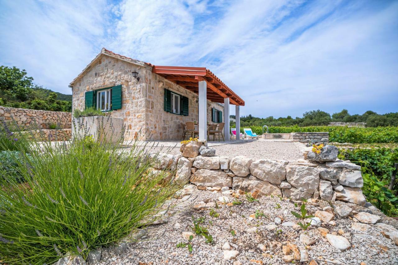 Vineyard House & Olive Grove House Βίλα Račišće Εξωτερικό φωτογραφία