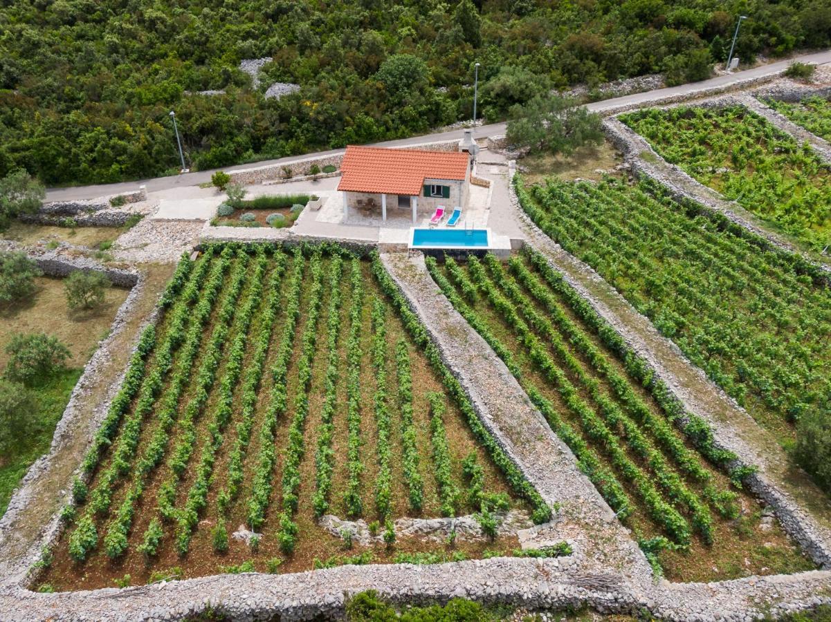 Vineyard House & Olive Grove House Βίλα Račišće Εξωτερικό φωτογραφία