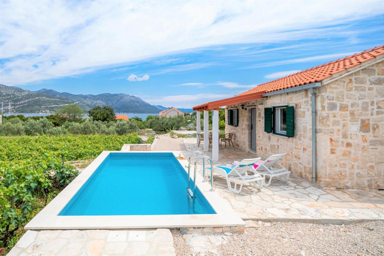 Vineyard House & Olive Grove House Βίλα Račišće Εξωτερικό φωτογραφία