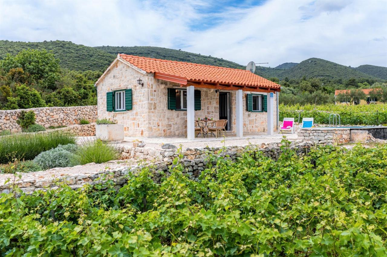 Vineyard House & Olive Grove House Βίλα Račišće Εξωτερικό φωτογραφία