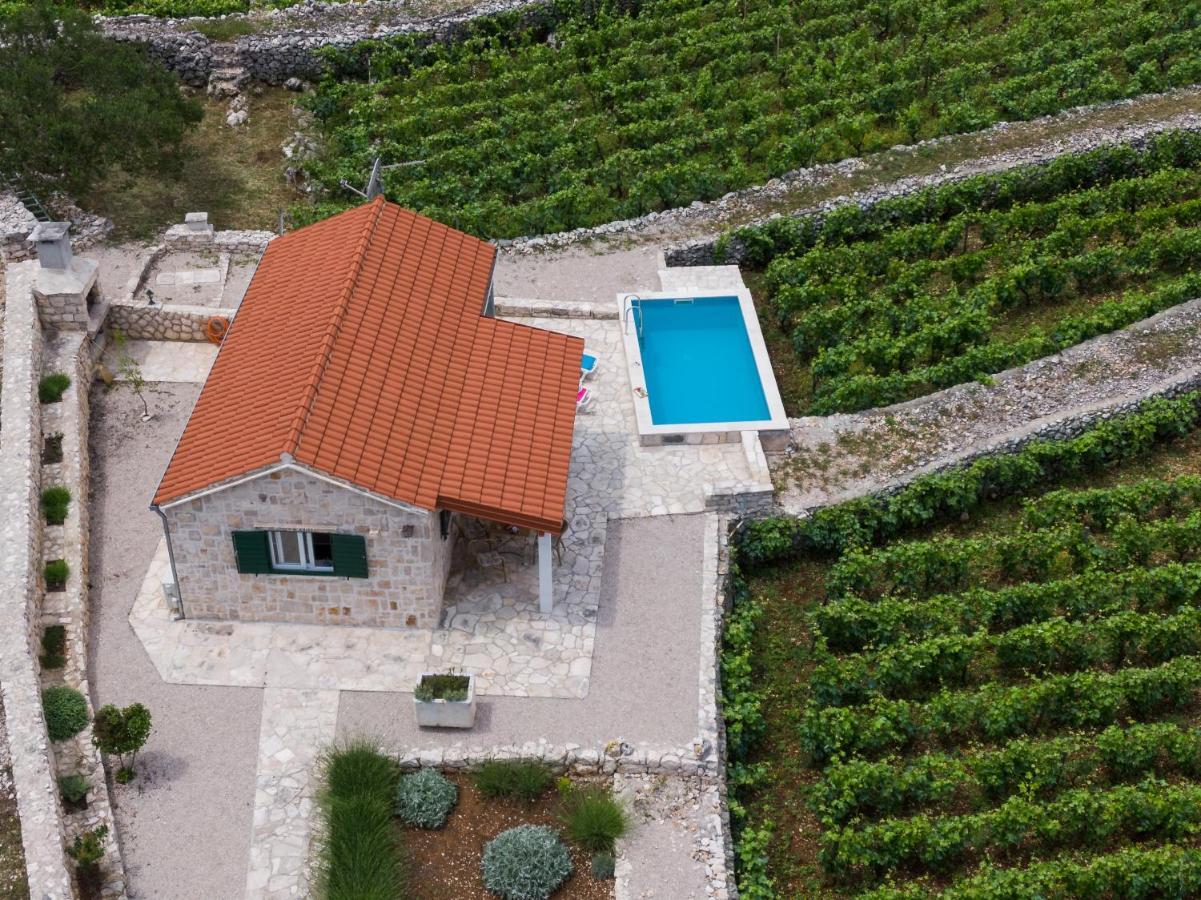 Vineyard House & Olive Grove House Βίλα Račišće Εξωτερικό φωτογραφία