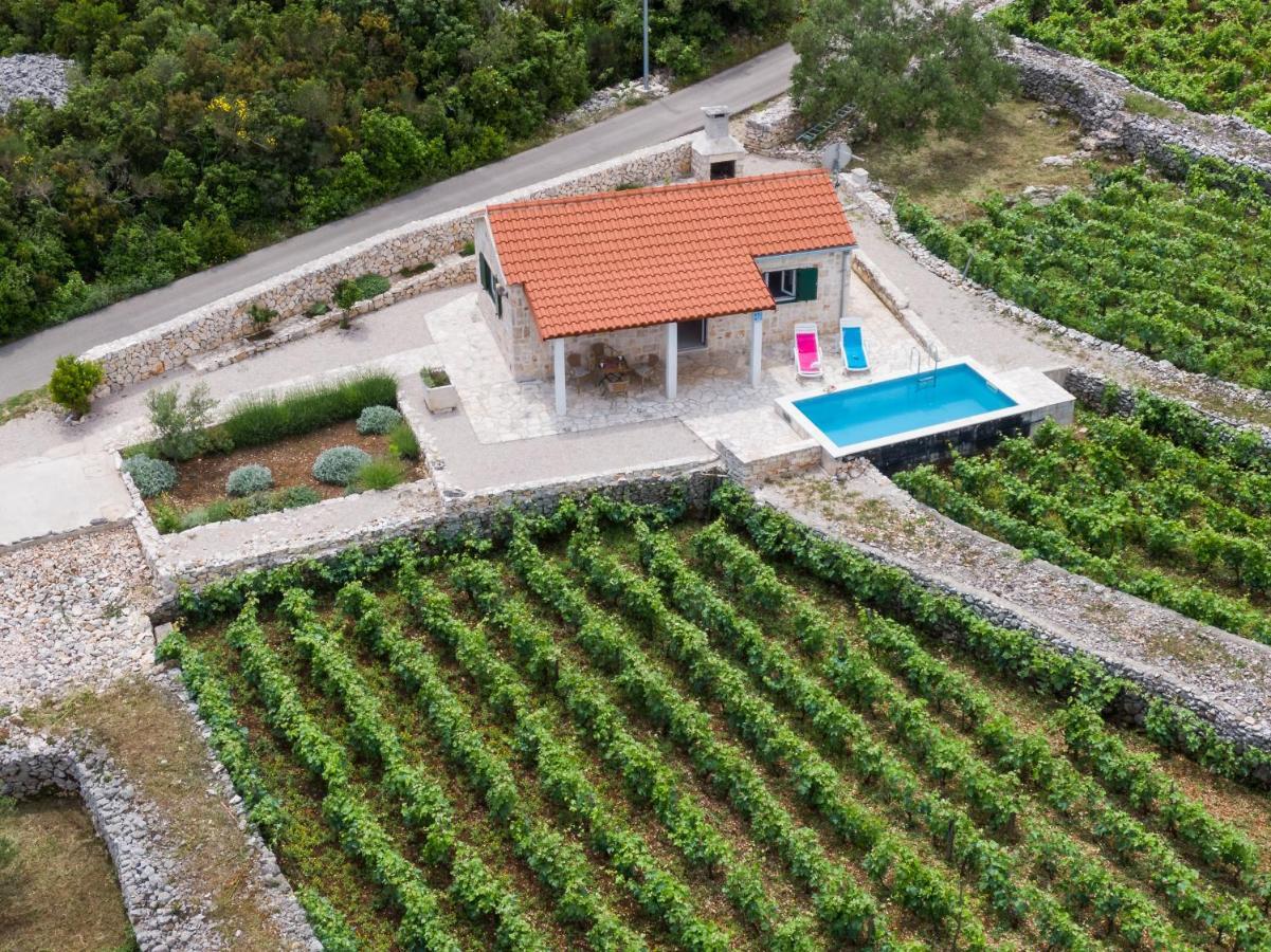 Vineyard House & Olive Grove House Βίλα Račišće Εξωτερικό φωτογραφία