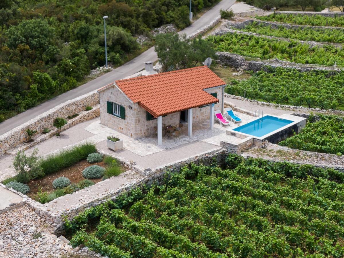 Vineyard House & Olive Grove House Βίλα Račišće Εξωτερικό φωτογραφία