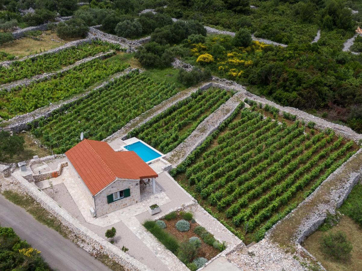 Vineyard House & Olive Grove House Βίλα Račišće Εξωτερικό φωτογραφία